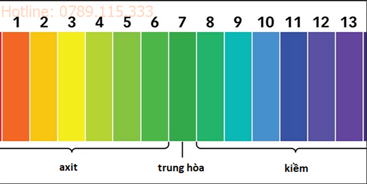 Cách đo độ pH trong cơ thể người