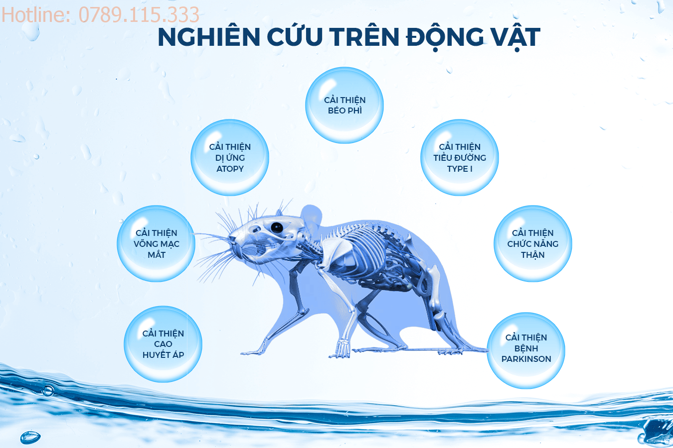 Hydro nghiên cứu trên động vật