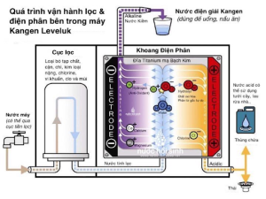 Cấu tạo bộ lọc bên trong máy Kangen LeveLuk K8