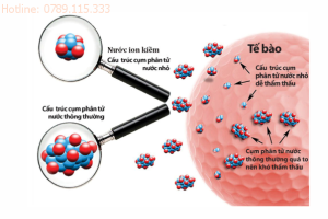 Liệu pháp hỗ trợ điều trị ung thư tốt nhất năm 2024