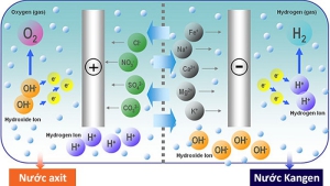 Các điều cần biết khi chọn mua máy lọc nước ion kiềm giàu Hydro